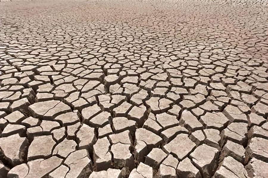 嘴唇不好，要找脾，中医温脾来治唇干裂