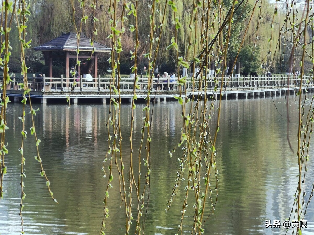 迎春七律100首,七律四首贺新春诗