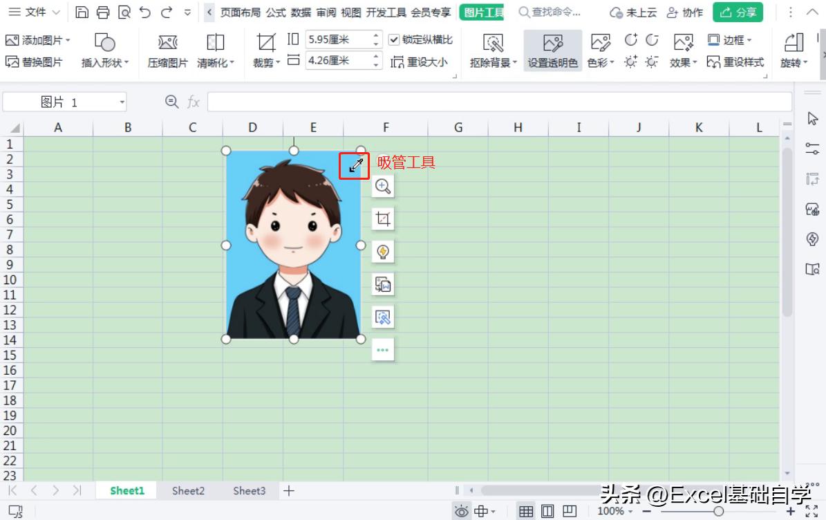 wps表格有底色,wps单元格底色