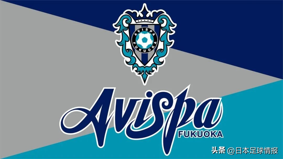 日职联福冈黄蜂鹿岛鹿角比赛结果,日职2024赛季球队巡礼