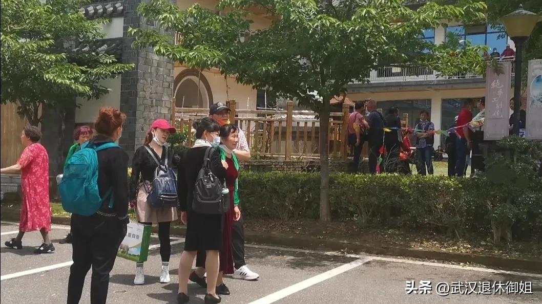 老人10元游玩领鸡蛋,满60岁的老人免费领鸡蛋