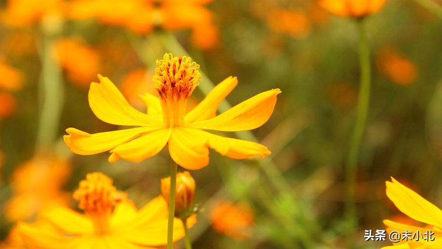 人生感悟最苦的句子,人生最苦的十年后的感悟