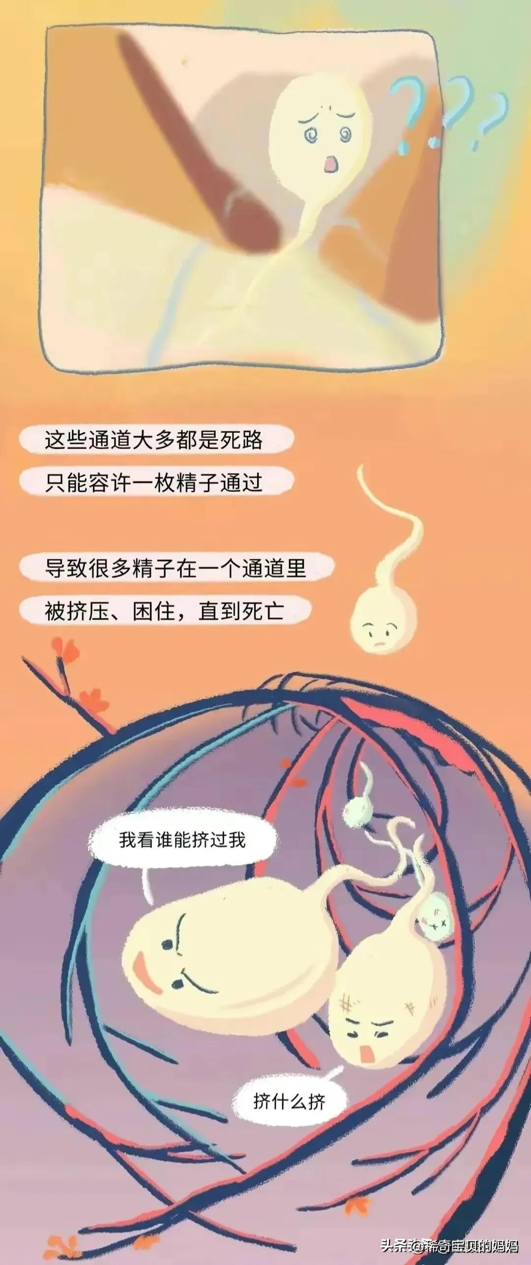 科普知识小蝌蚪怎么成长为青蛙,小蝌蚪动画的成长过程