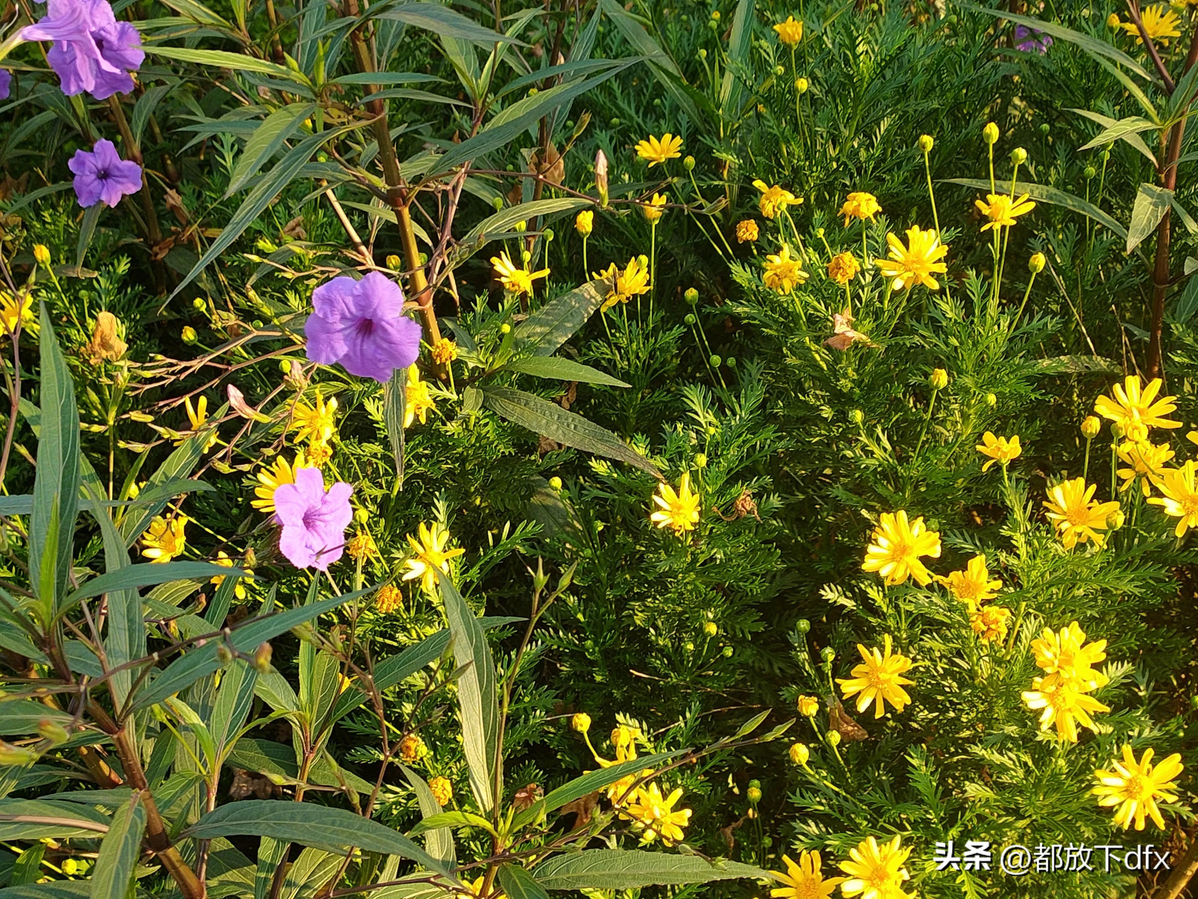 分道扬镳,各走各的路,也挺好的