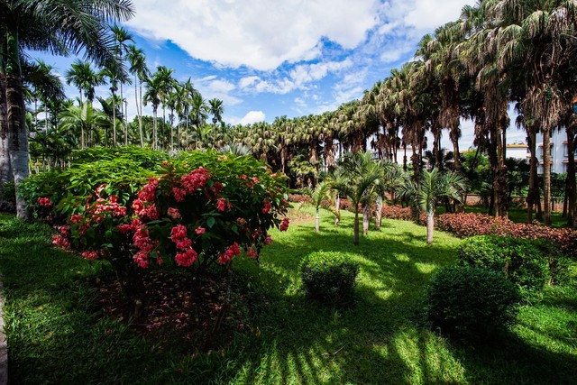 游园不值宋叶绍翁朗诵视频,游园不值叶绍翁古诗讲解