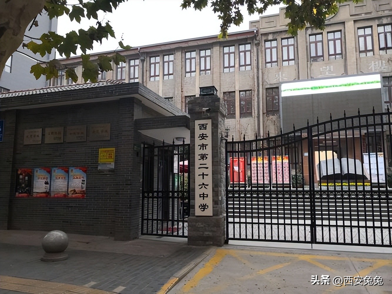 西安2022体育特长生招生,2024年西安市体育特长生招生政策