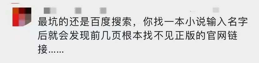 盗版笔趣阁收益,盗版笔趣阁一共多少钱