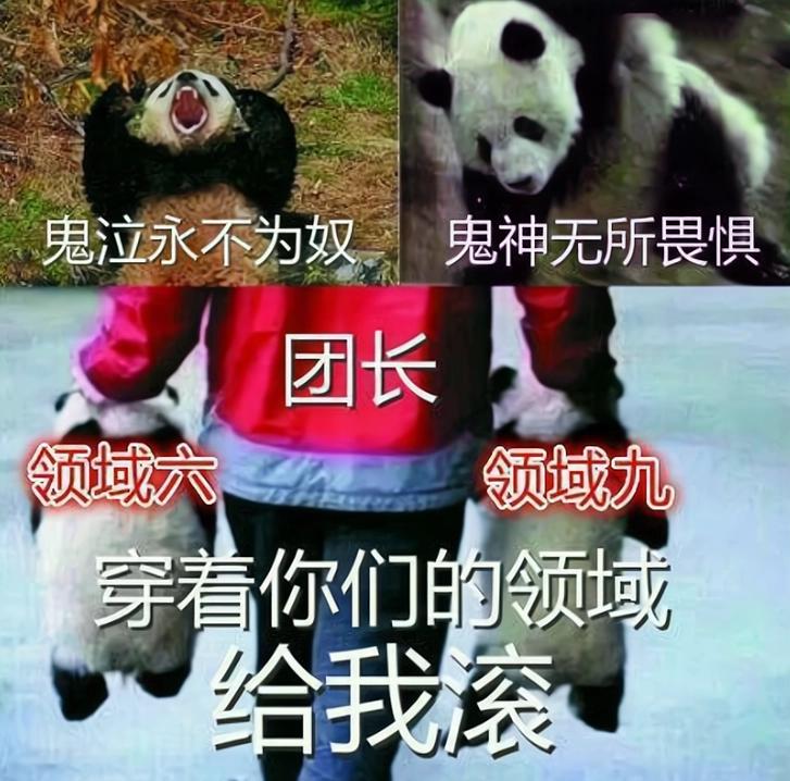 为什么安图恩最成功,安图恩为什么这么可怜