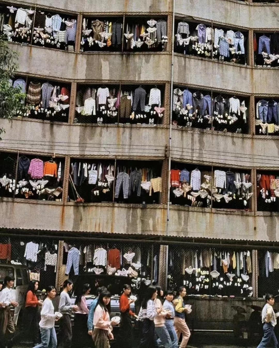 去加拿大当伐木工,如何去加拿大做伐木工