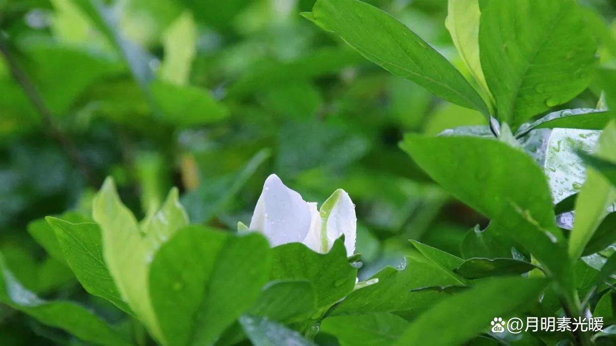 学会赚钱的100个知识,真正赚钱的知识