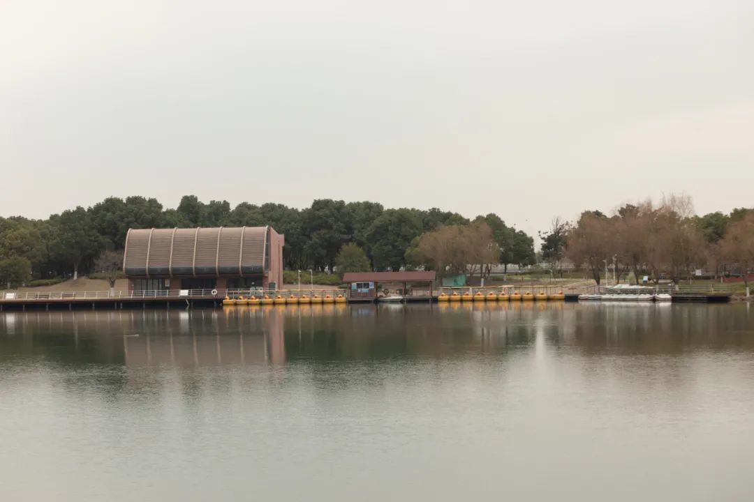 藏不住了！苏州四大宝藏公园，好拍又好玩