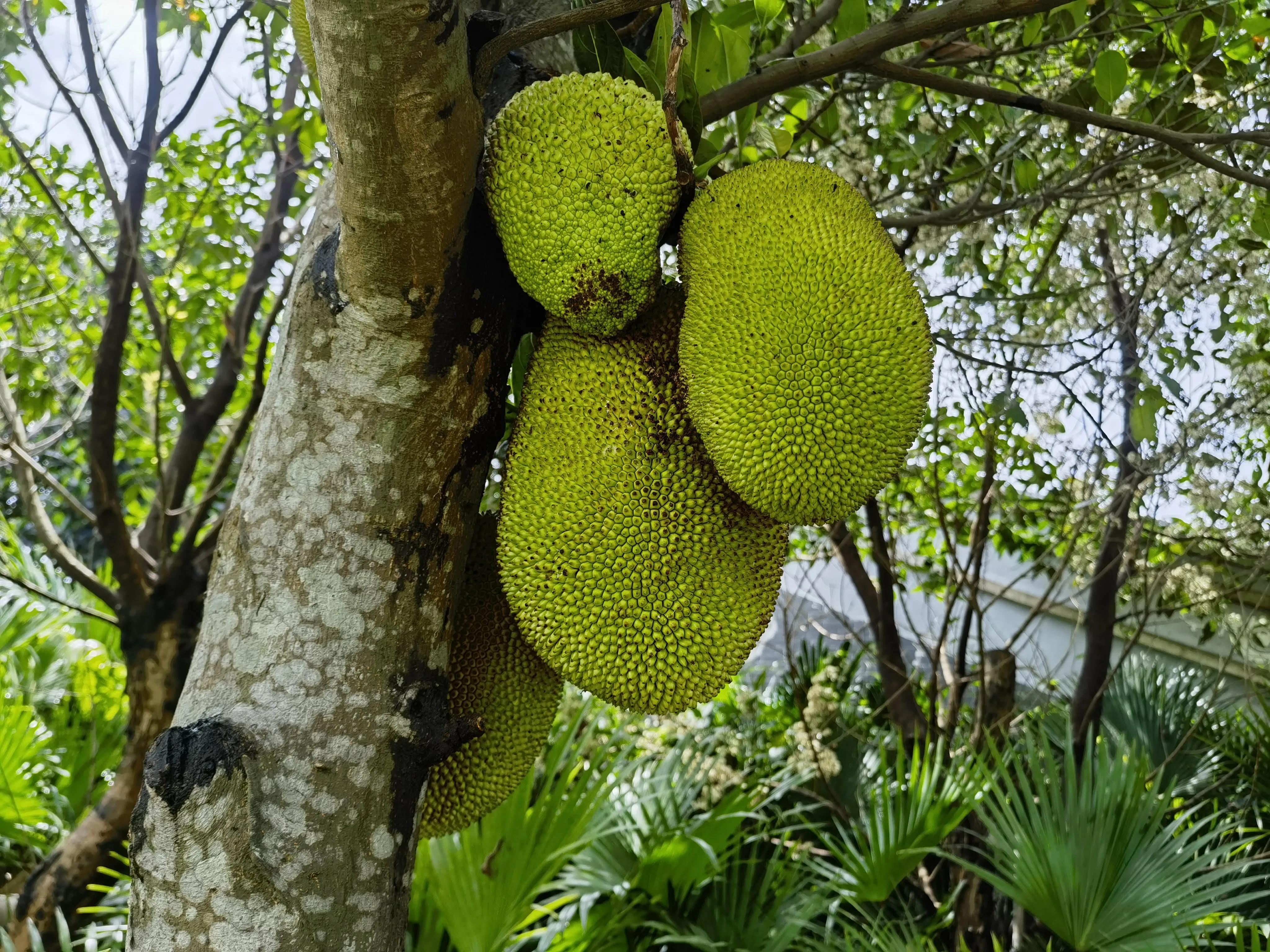 结石的痛苦有谁懂,结石的痛怎么缓解