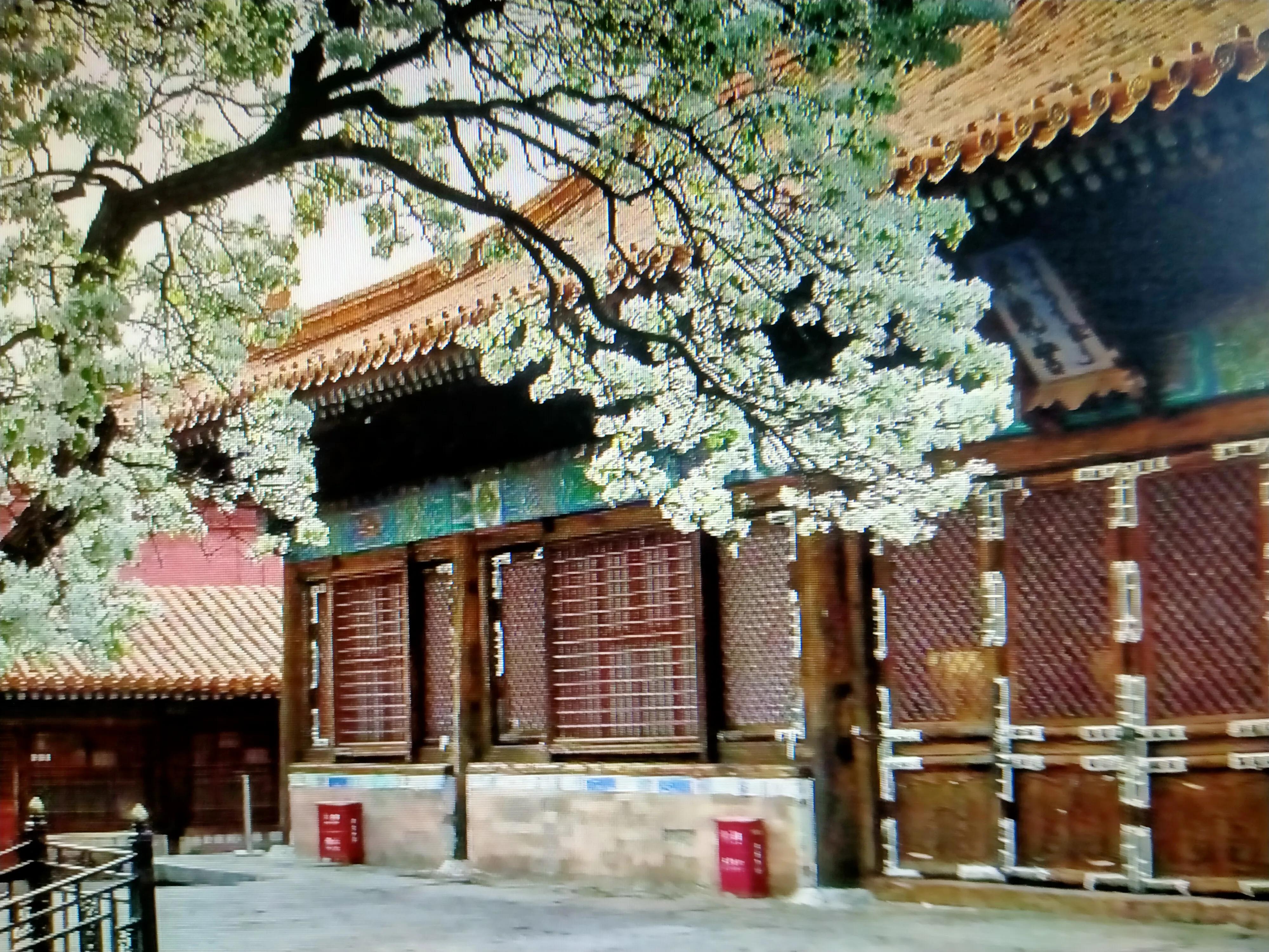 冬天游玩北京故宫,北京故宫附近游玩