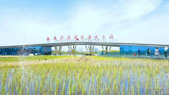 骑行打卡景点,湿地骑行观风景