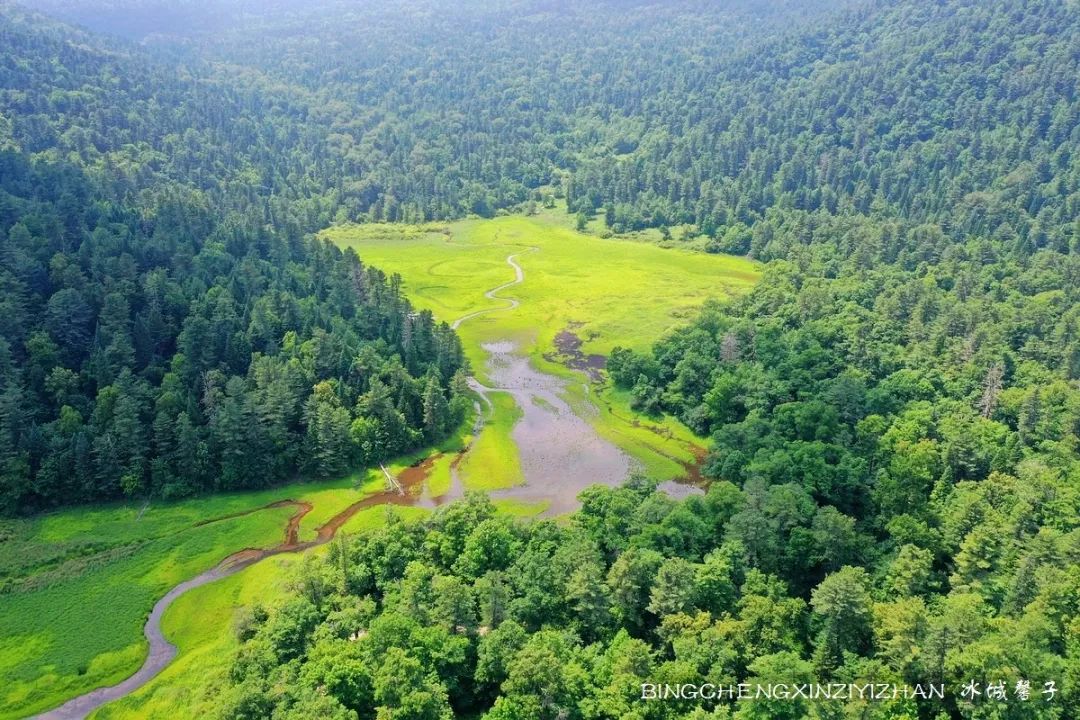 火山口国家森林公园与地下森林,清凉度夏探秘地下森林