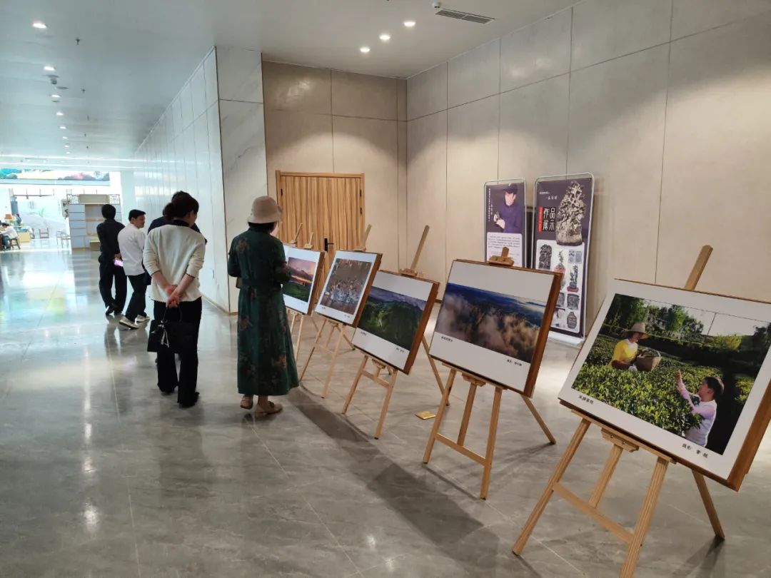 西乡县茶叶镇樱桃采摘,陕西汉中哪里可以摘樱桃