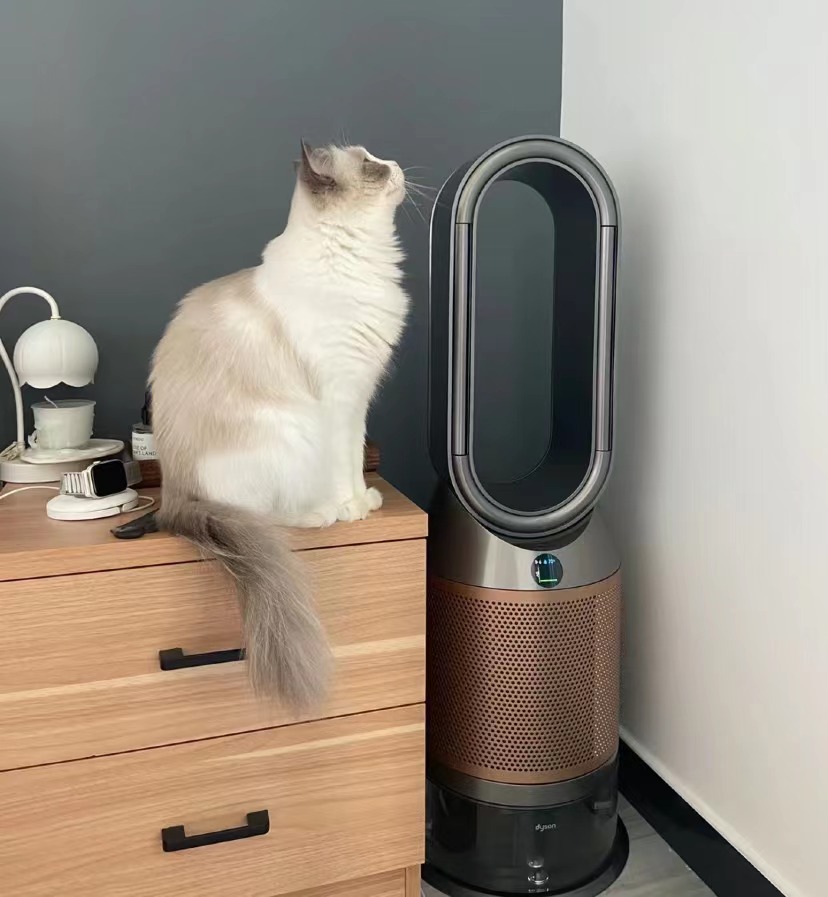 空气净化器戴森和飞利浦哪个好,空气净化器戴森和霍尼韦尔