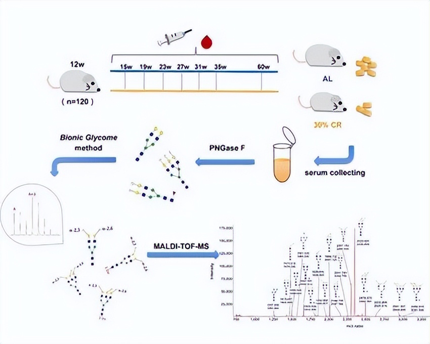 复旦医学院今年科研最新成果,复旦大学最新科研消息