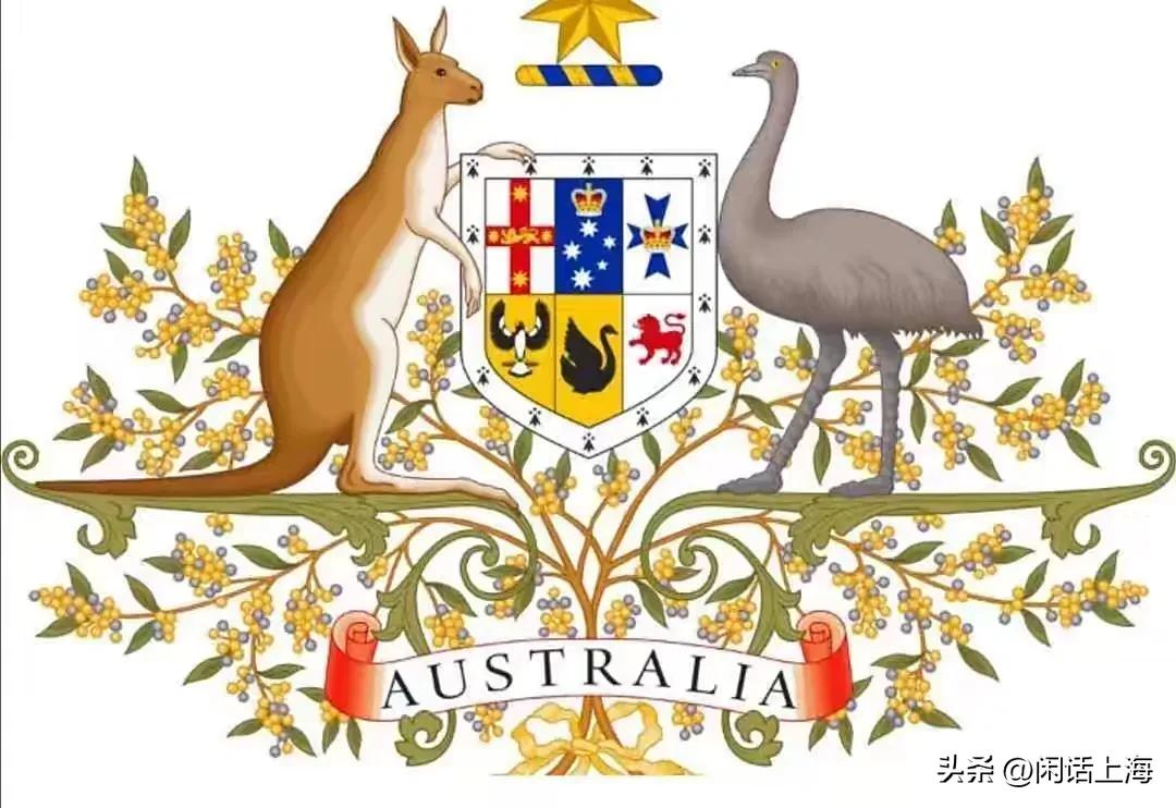 离谱！上海一女生竟把别人家的国宝当作宠物养