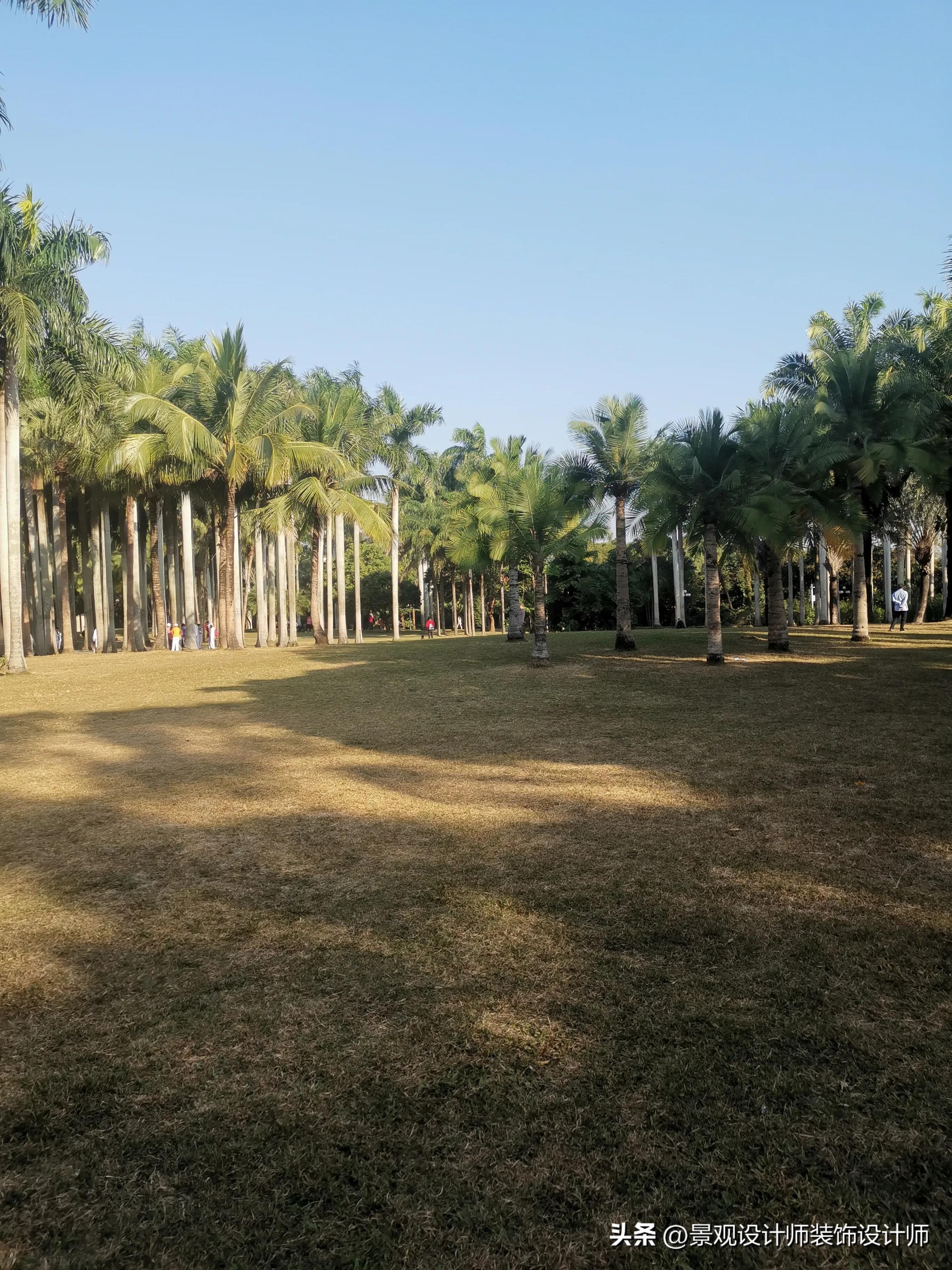 深圳市东湖公园收费标准,深圳市东湖公园宾馆