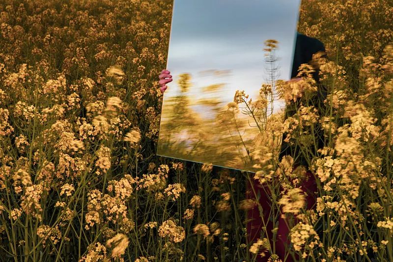 在留言区里,我看到了温暖的100种模样