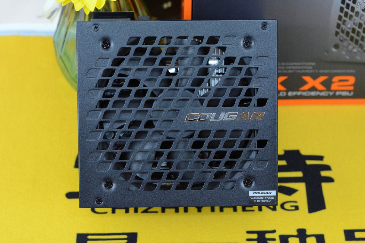 质保10年、金牌、全模组，真ATX3.0、原生PCIE5.0，骨伽GEXX2入手