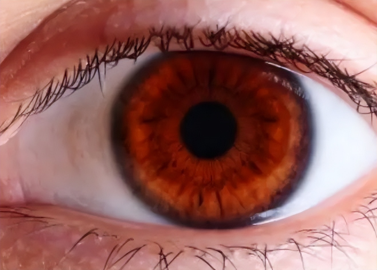 打篮球适合戴ok镜,戴半框眼镜能打篮球吗