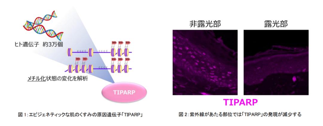 盘点4款大牌美白精华,美白精华合集8款