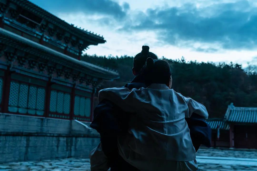 电影夜枭经典片段,一口气讲完一部电影夜枭