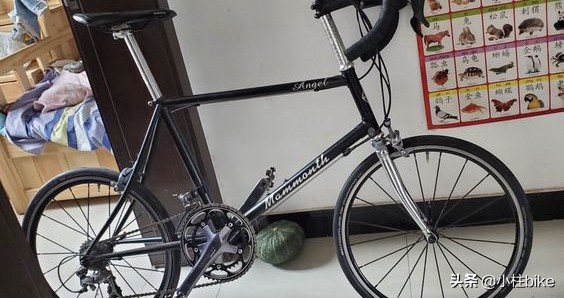 适合旅行的公路自行车推荐,最舒适助力旅行自行车推荐