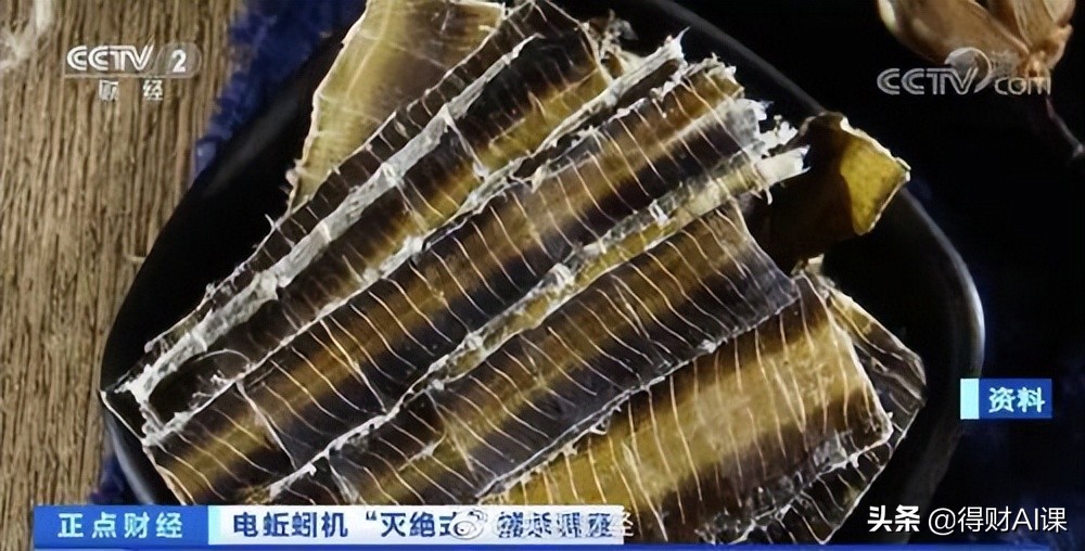 都是钓鱼惹的祸？蚯蚓干暴涨至300每公斤！多地电击式灭绝捕杀