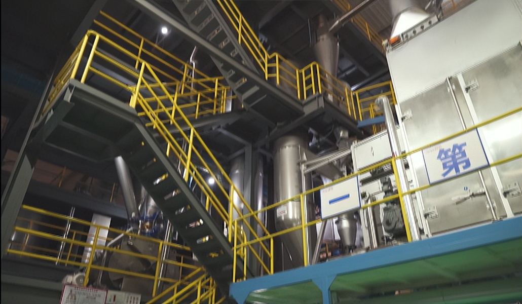 捐20吨狗粮给救助中心,捐猫粮捐狗粮