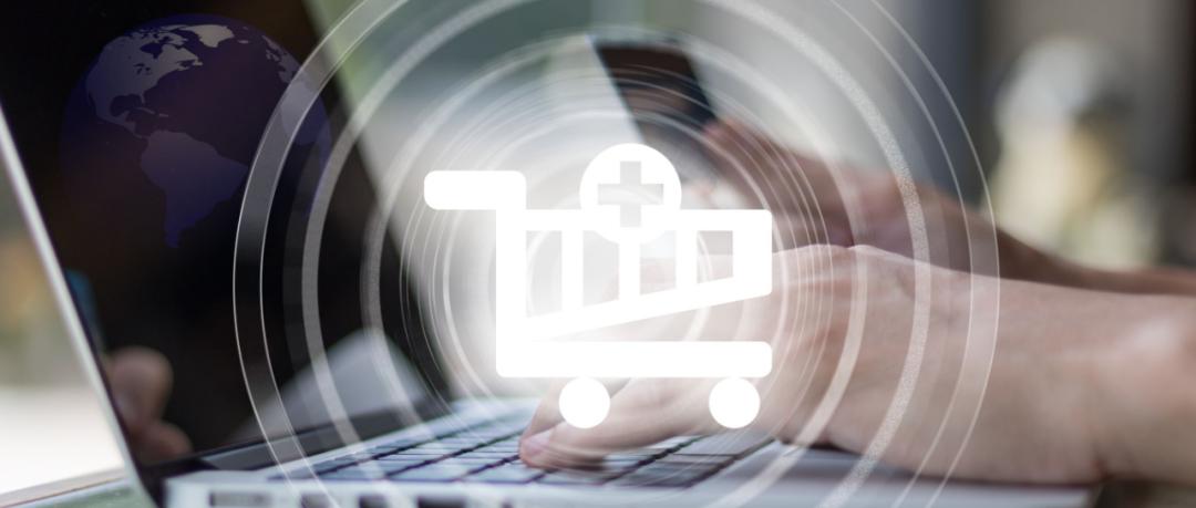 考拉会掉下来吗,考拉现在在哪里生活