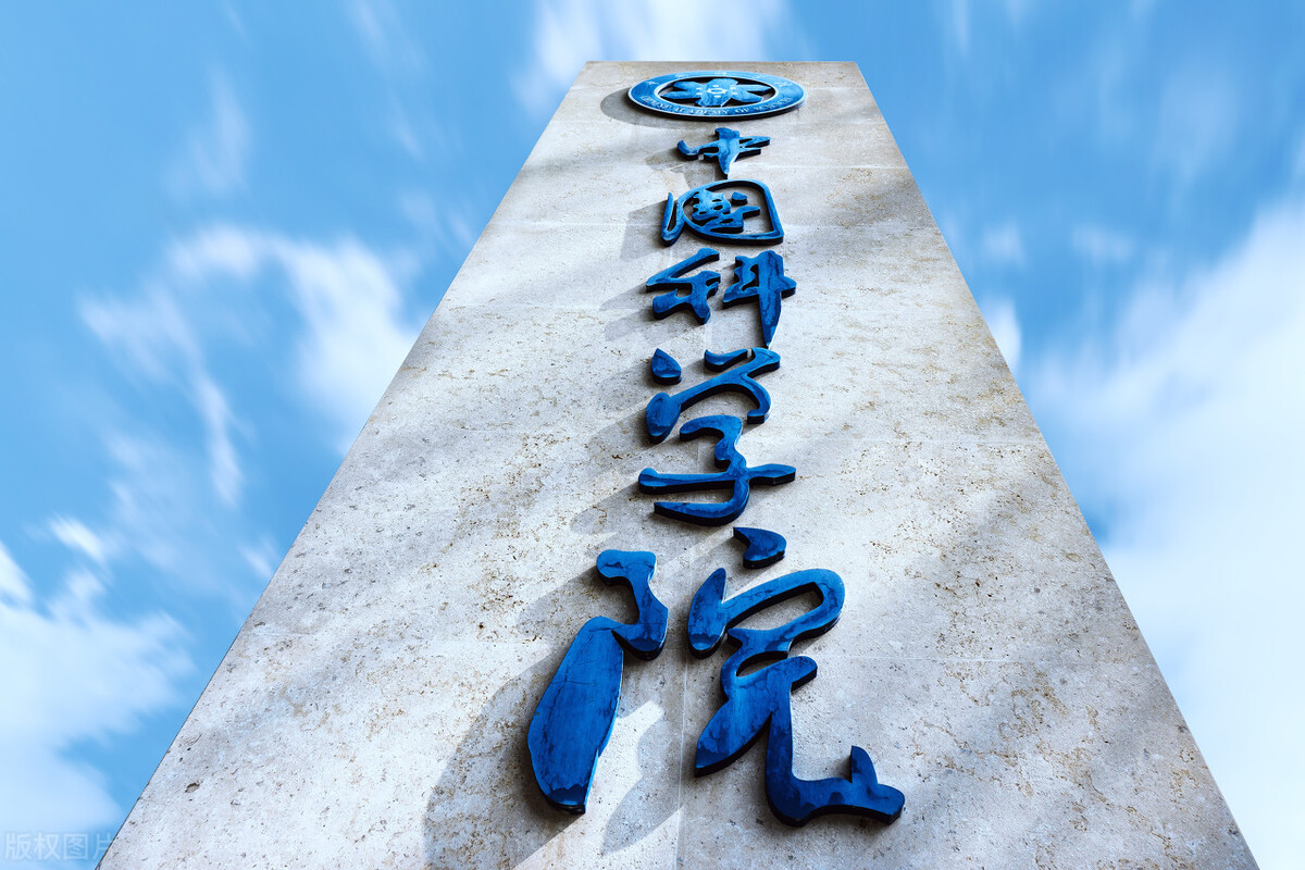 立案调查，知网终于栽跟头了，网友一片欢呼