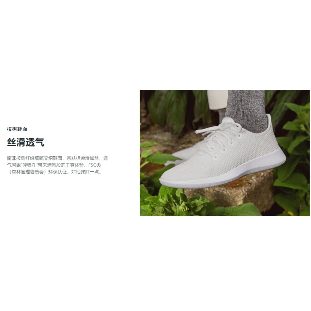 品牌市值逾41亿美元——深入剖析AllbirdsSEO和广告的过人之处