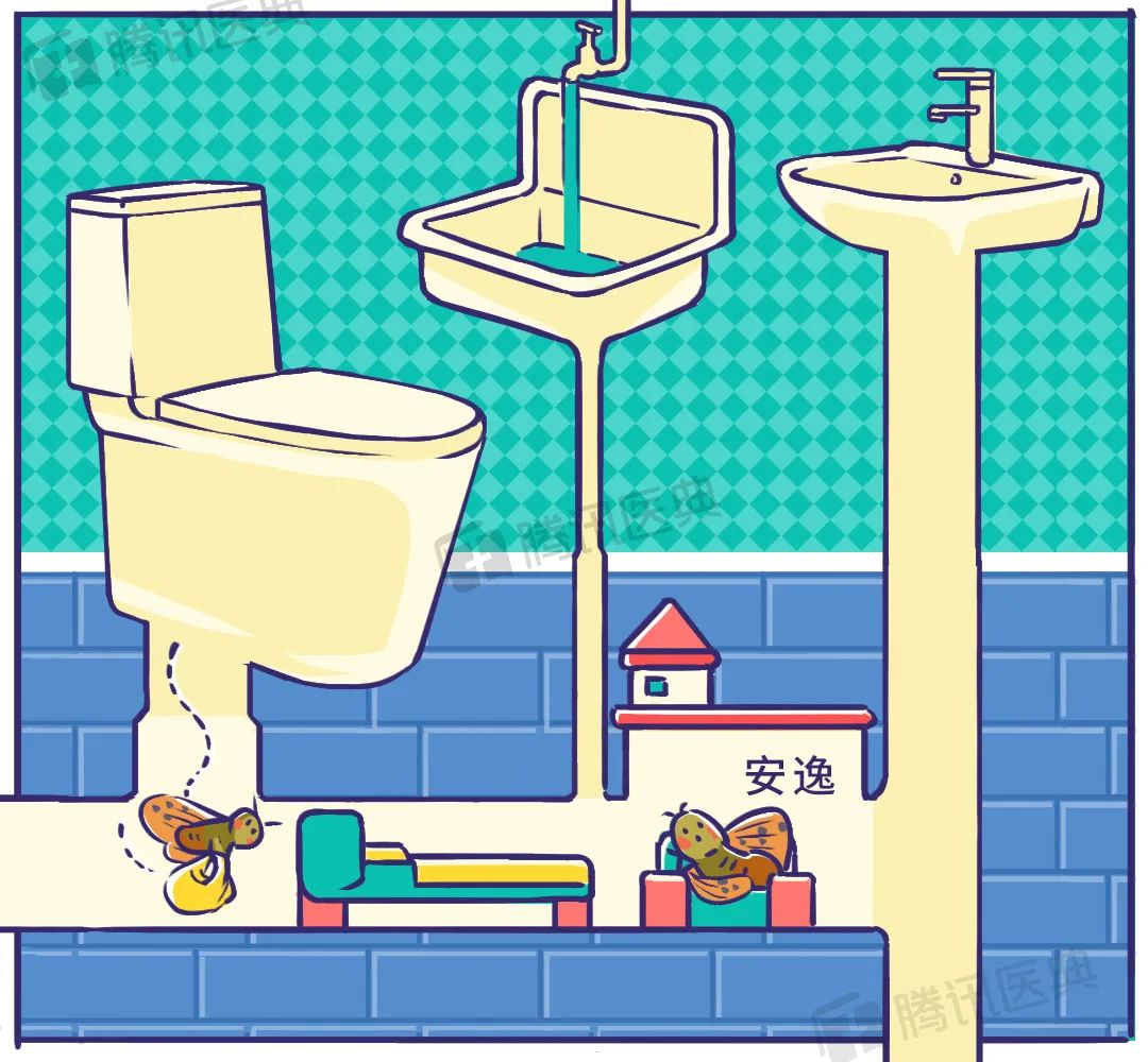 家里有很多黑色小飞虫是什么原因,家里总有黑色小飞虫怎么解决