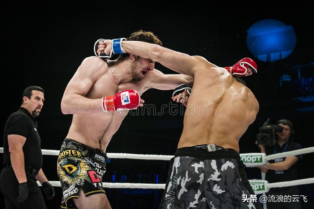 2023年中考热点作文语文,宁夏2023年中考语文作文