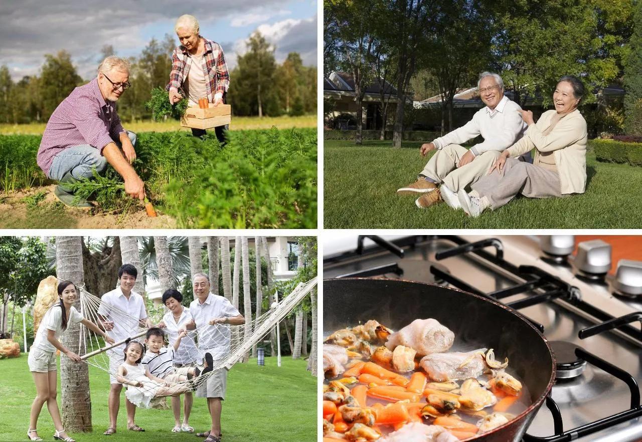 康养产业概念,康养产业实践总结