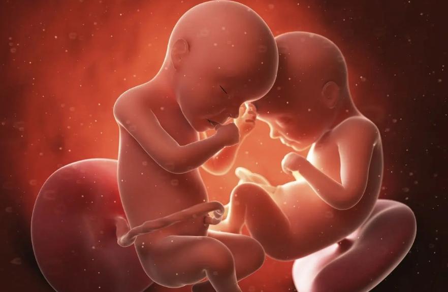 2000万精子有多少能存活到最后,为什么几亿个精子受孕概率还不高