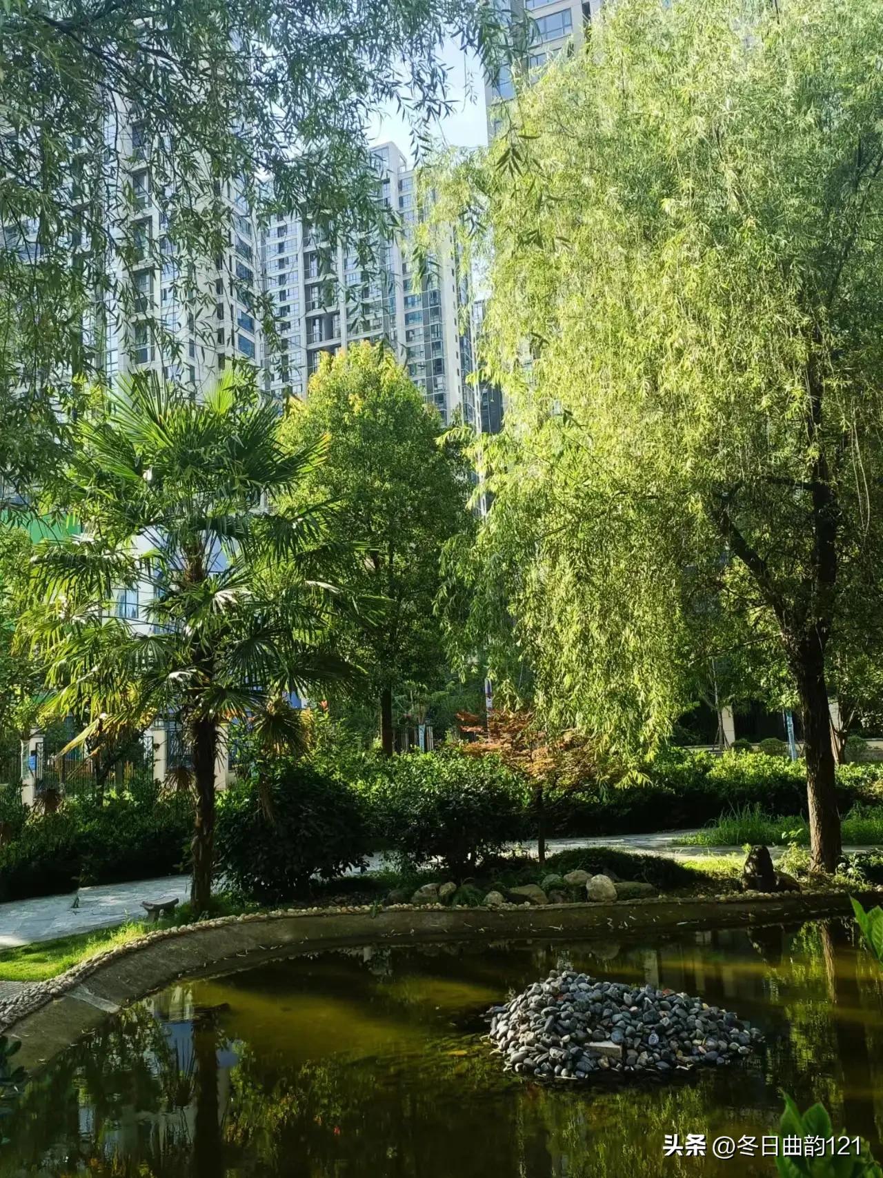 雨过天晴空气格外的清爽,雨过天晴蓝天白云晴空万里