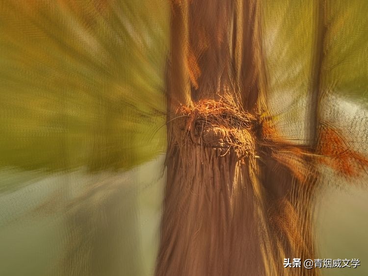 为艺术多一次曝光