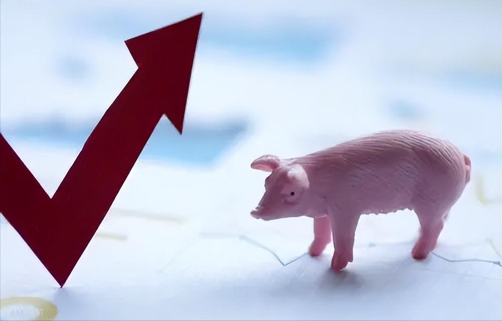 京基恶意并购康达尔在哪一年,京基集团康达尔