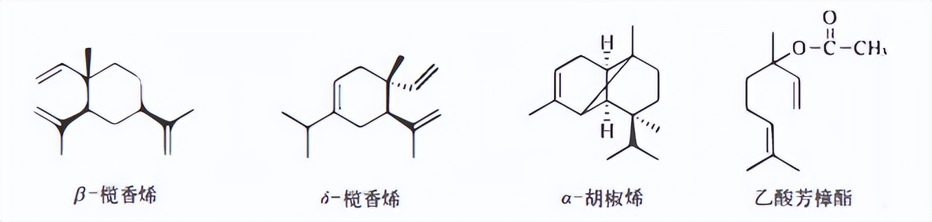 植物精油是挥发油吗,植物的精油是什么成分