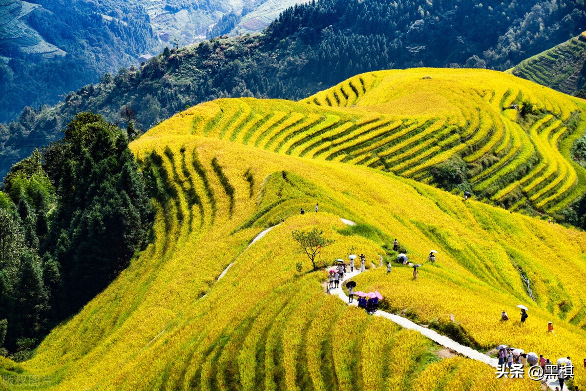桂林旅游攻略五日游自由行,桂林旅游攻略五天四夜