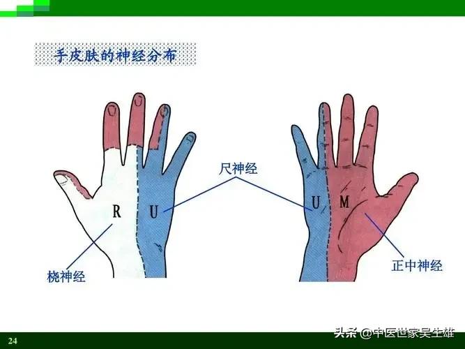 桡神经损伤引起三个半手指麻木,桡尺神经损伤手麻怎么治疗