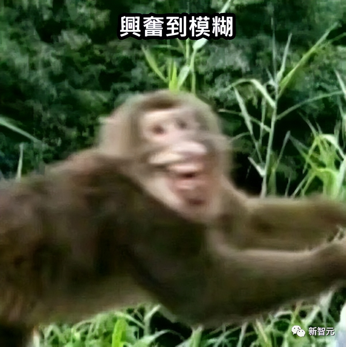 gpt4全面植入office全家桶,比gpt-4更强大的ai系统