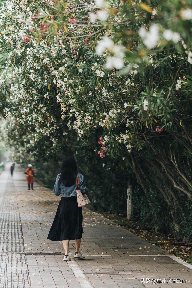 再见南京演唱,南京仙林回忆