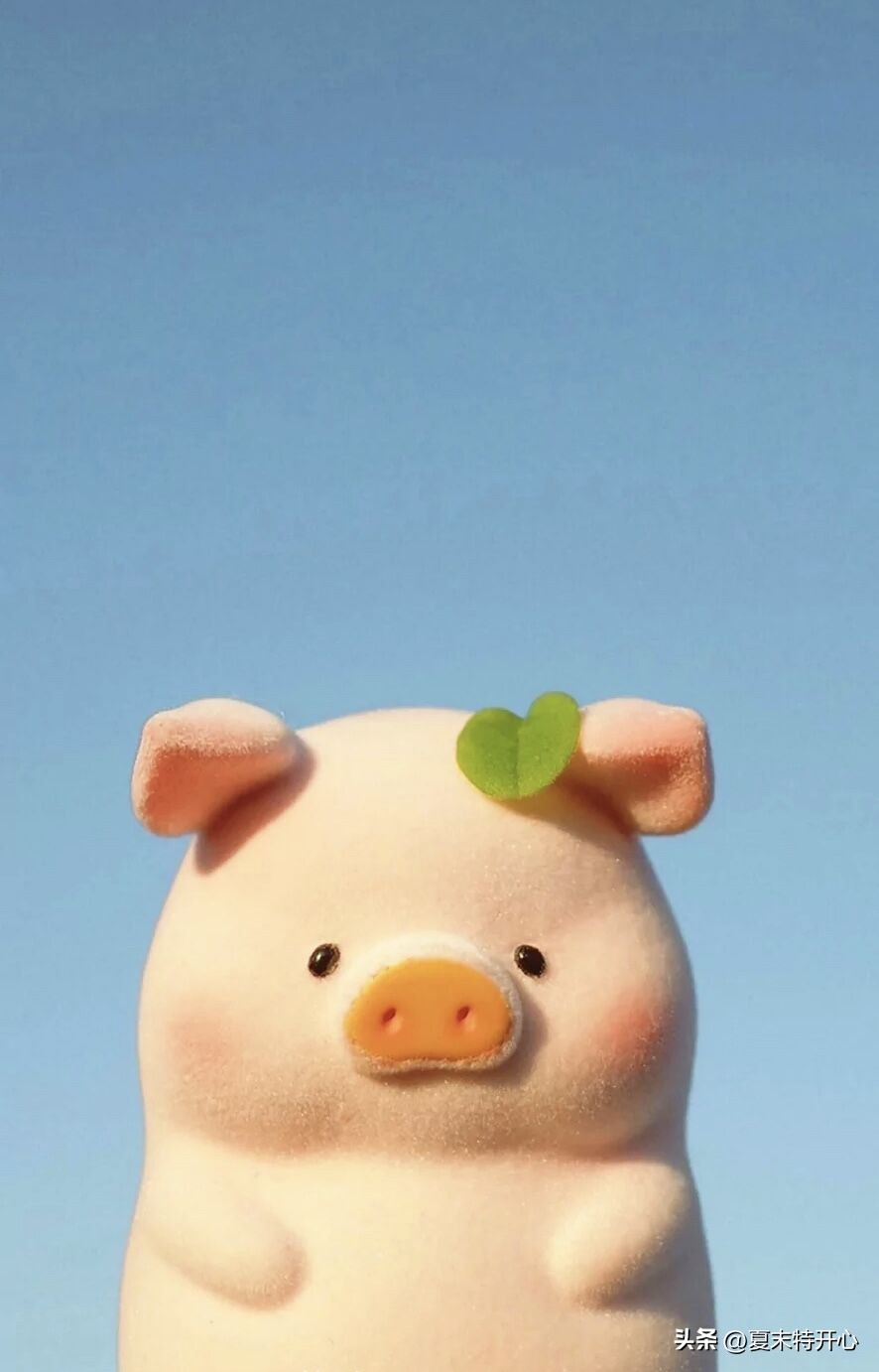 经典搞笑幽默小笑话大全,逗女朋友笑话搞笑