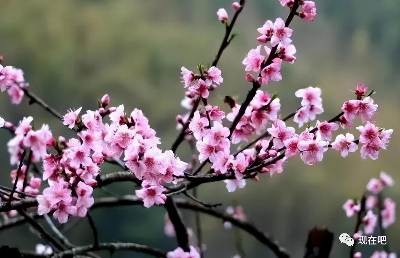 自遣罗隐古诗300首,罗隐自遣诗