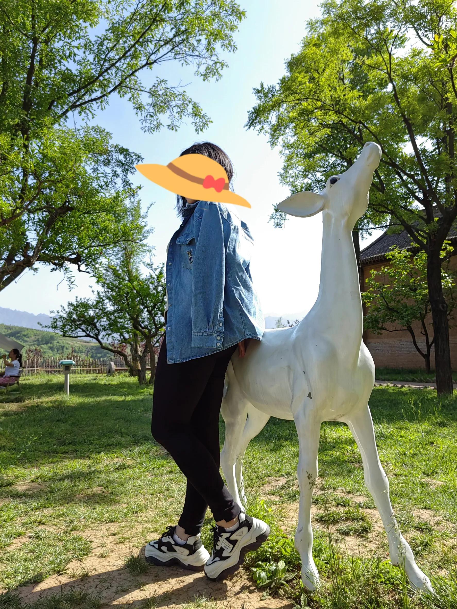 西安白鹿原影视基地一日游,西安白鹿原影视城旅游攻略